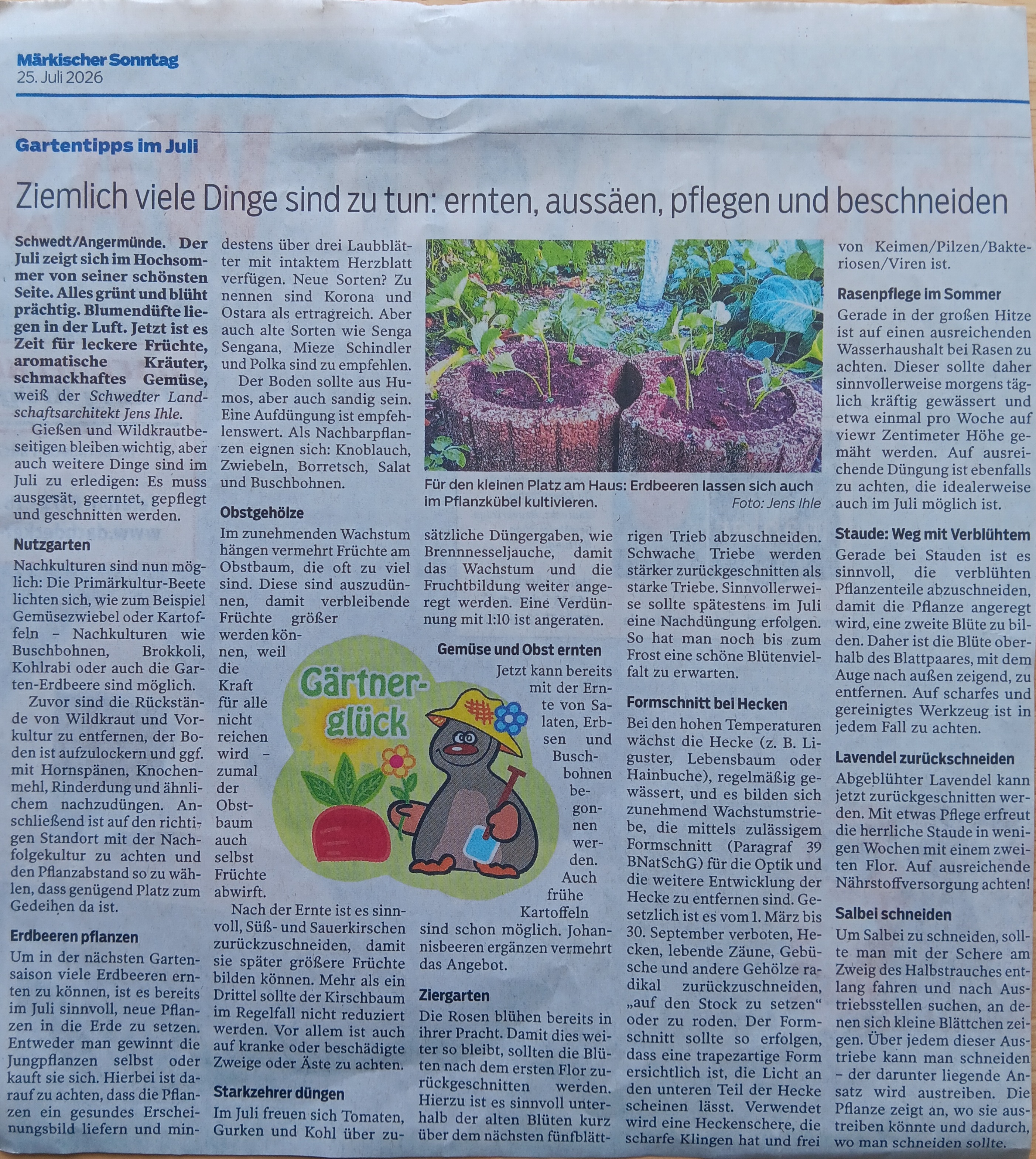 Gartentipps für Juli 2026